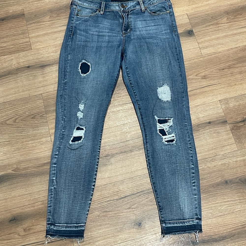 Liverpool Ankle Skinny Jeans